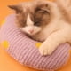 thumbnail image 1 of Cama para gatos con forma de media dona | Almohada pequeña lavable | Juguete suave y cálido para gatos | Naranja, morado y verde, 1 of 6