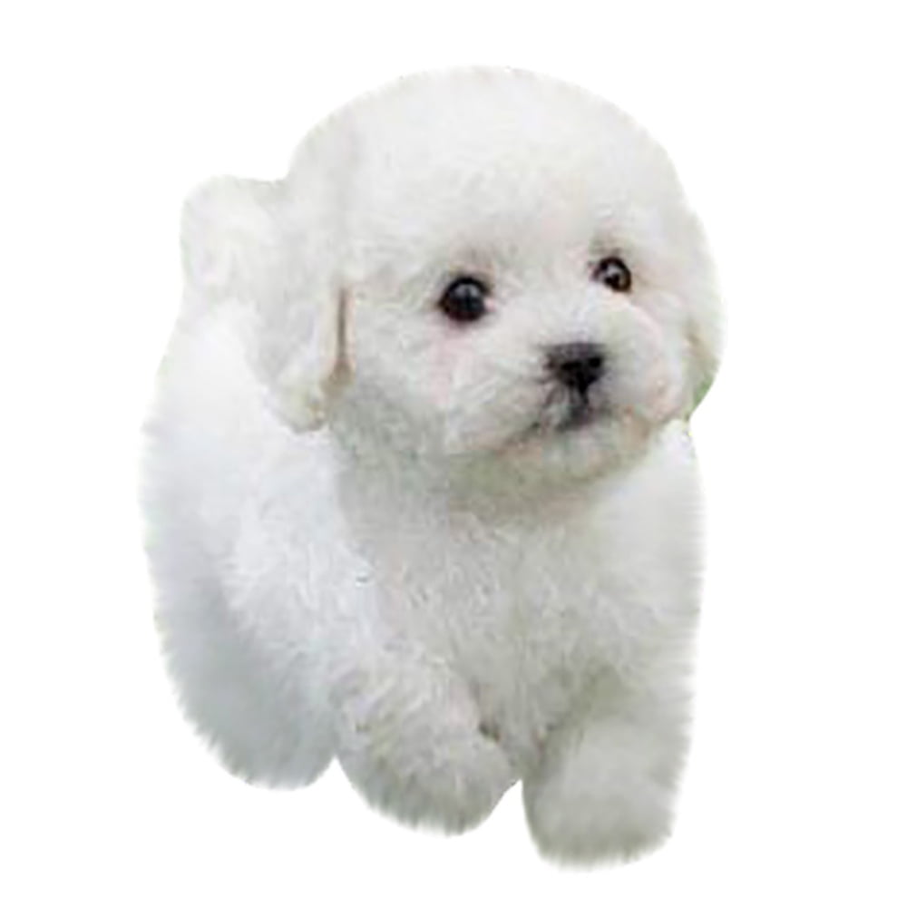 Transer Realistic Teddy Dog Lucky, Handmade Realistic