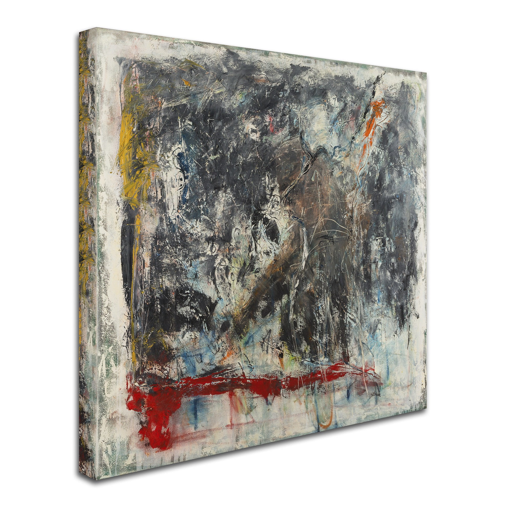 "Furia e Paixao" Canvas Art by Joarez