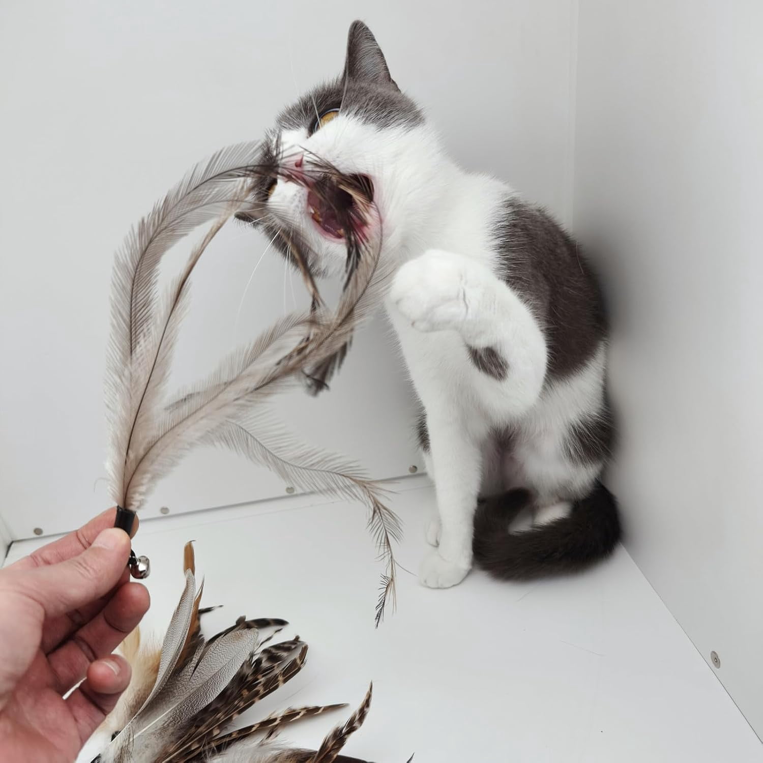 miwoowim Cat Toys Interactive for Indoor Cats, 2PCS Ultra-Long Teaser(50"+38")+9PCS Da Bird Feather Refills, Fishing Pole Toy,Retractable Cat Wand Toy and Feather Toys Refills Attachment Replacement