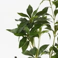 thumbnail image 4 of SAFAVIEH Faux Pieris Japonica 32" Potted Plant, Green, 4 of 7