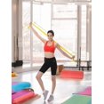 thumbnail image 3 of Bandas de pilates Sunny Health & Fitness SF- No. 042 Sunny Health & Fitness Bandas de pilates Sunny Health & Fitness SF- No. 042, 3 of 5