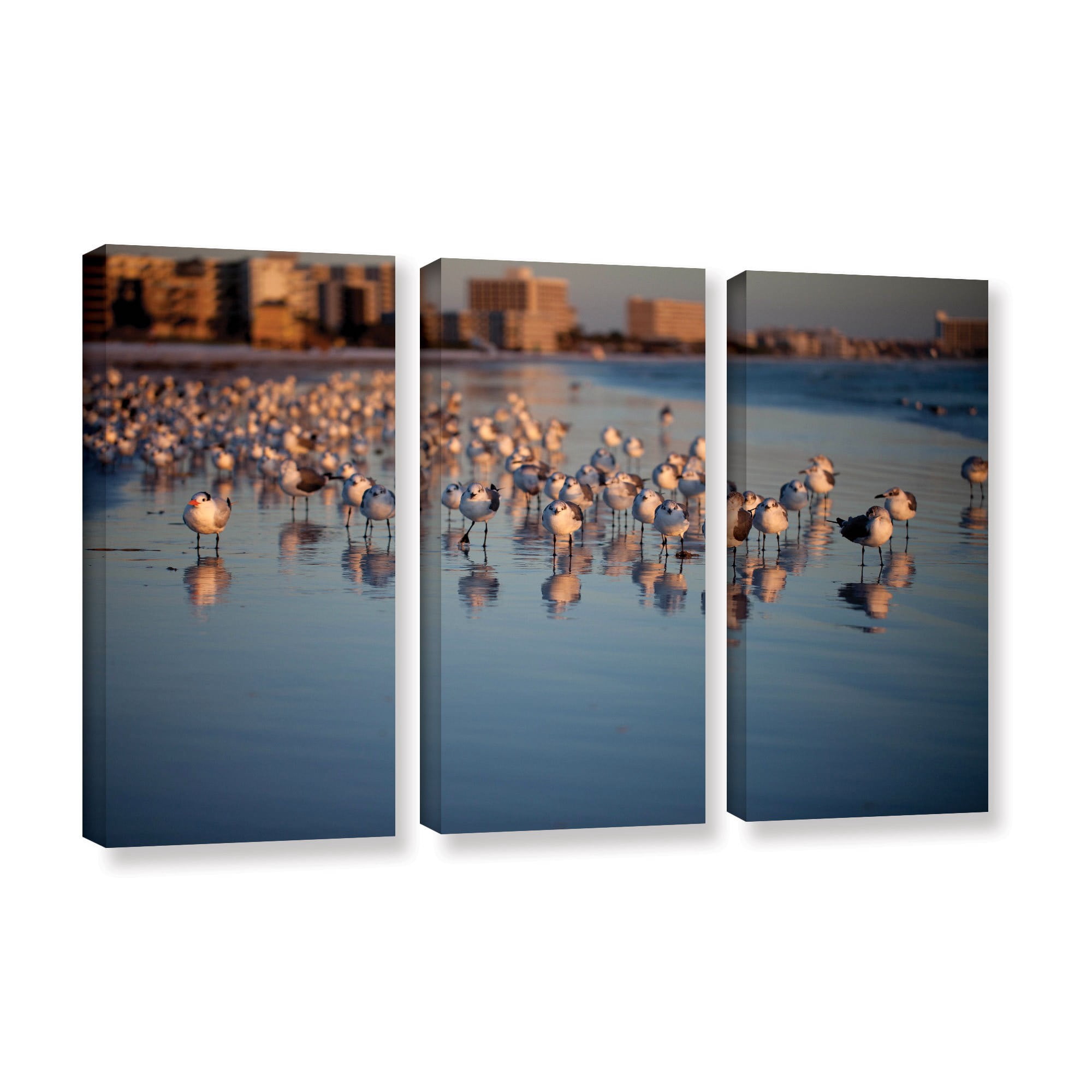 ArtWall Lindsey Janich "Seagulls II" 3-Piece Gallery-Wrapped Canvas Set