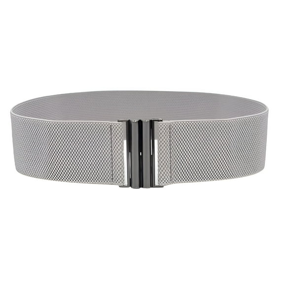TELOLY Stretch Belts for Women Plus Size Elastic Wide Waist Belts for Jeans Pants Dress Lady Fashion Waistband with Metal Buckle, Grey