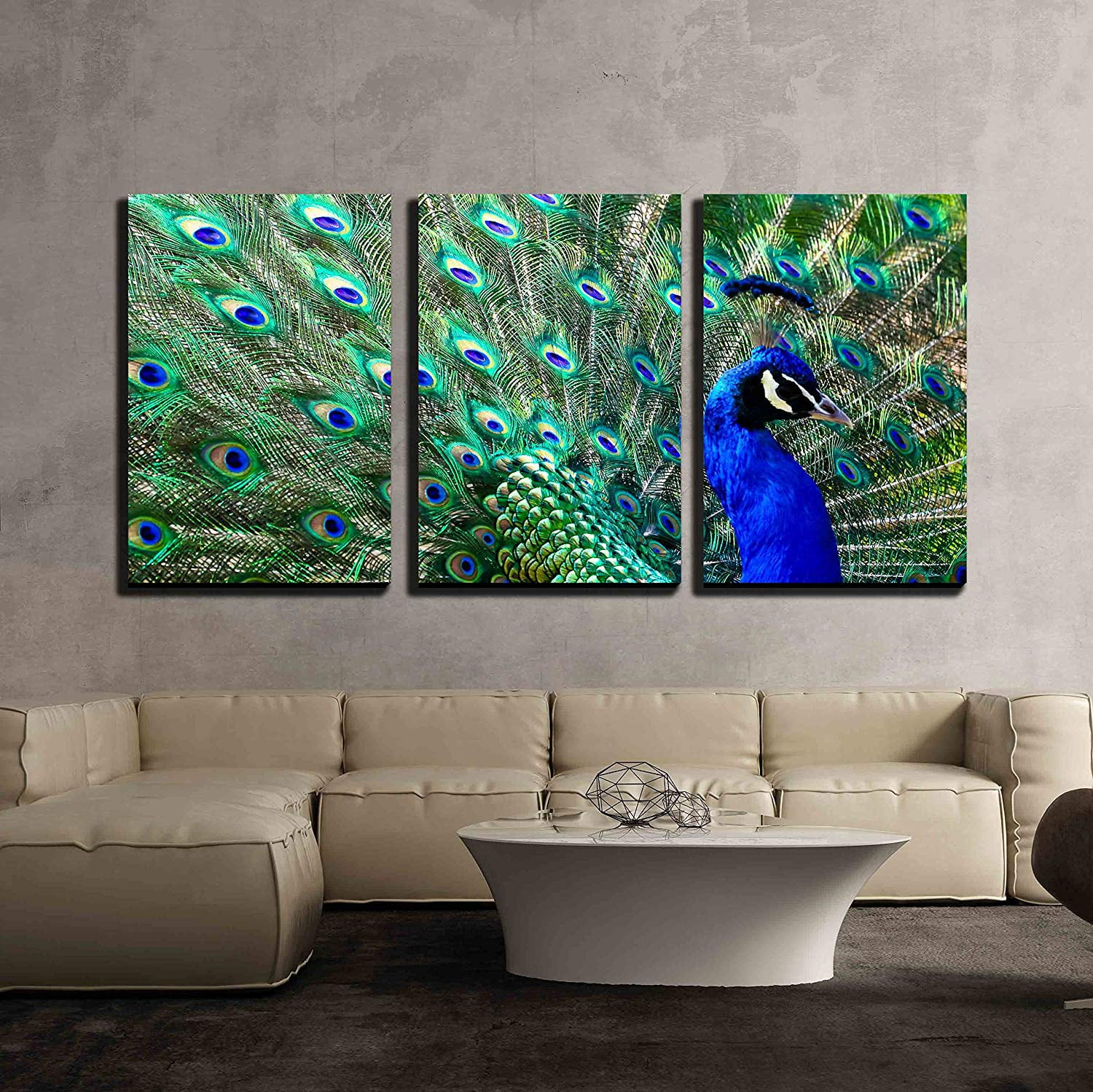 wall26 3 Piece Canvas Wall Art Male Peacock Displaying