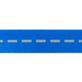 thumbnail image 2 of Vibrant Life Reflective Polyester Dog Leash, Blue, Small, 5 feet, 2 of 7