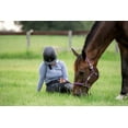 thumbnail image 2 of TuffRider Guardian Wide Brim Helmet, 2 of 10