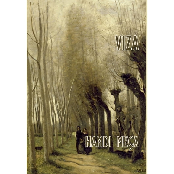Viza, (Hardcover)