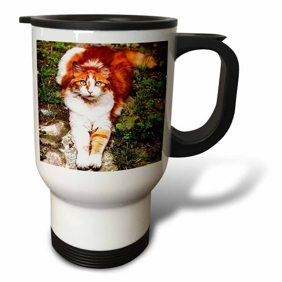 3drose, Orange Cat, 14oz Stainless Steel Travel Mug