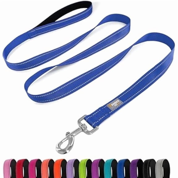 Eryueer Dog Leash 6 FT Padded Handle Nylon Reflective Dogs Leashes for Small Dogs Blue