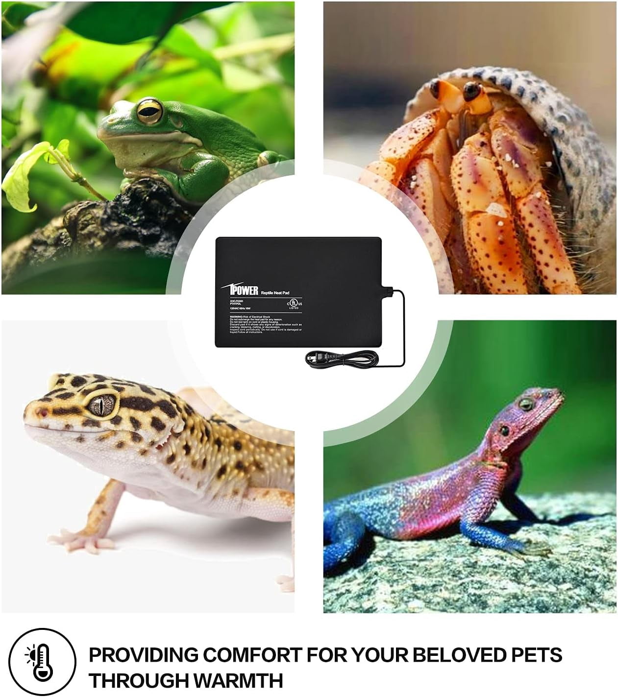 iPower 8" x 12" Reptile Heat Pad Under Tank Heater Terrarium Warmer Heating Mat and Digital Thermostat Controller for Turtles Lizards Frogs and Other Small Animals