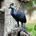 thumbnail image 6 of Ksopiavobs Realistic Animal Figures Cassowary Bird Figurines, Science Project, Cake Topper, Early Educational Toys Birthday for Toddlers Kids Age 3 4 5, 6 of 6