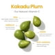 thumbnail image 3 of Serum Natural Outcome Vitamina C con vitamina E y ácido ferúlico, 30 ml, 3 of 6