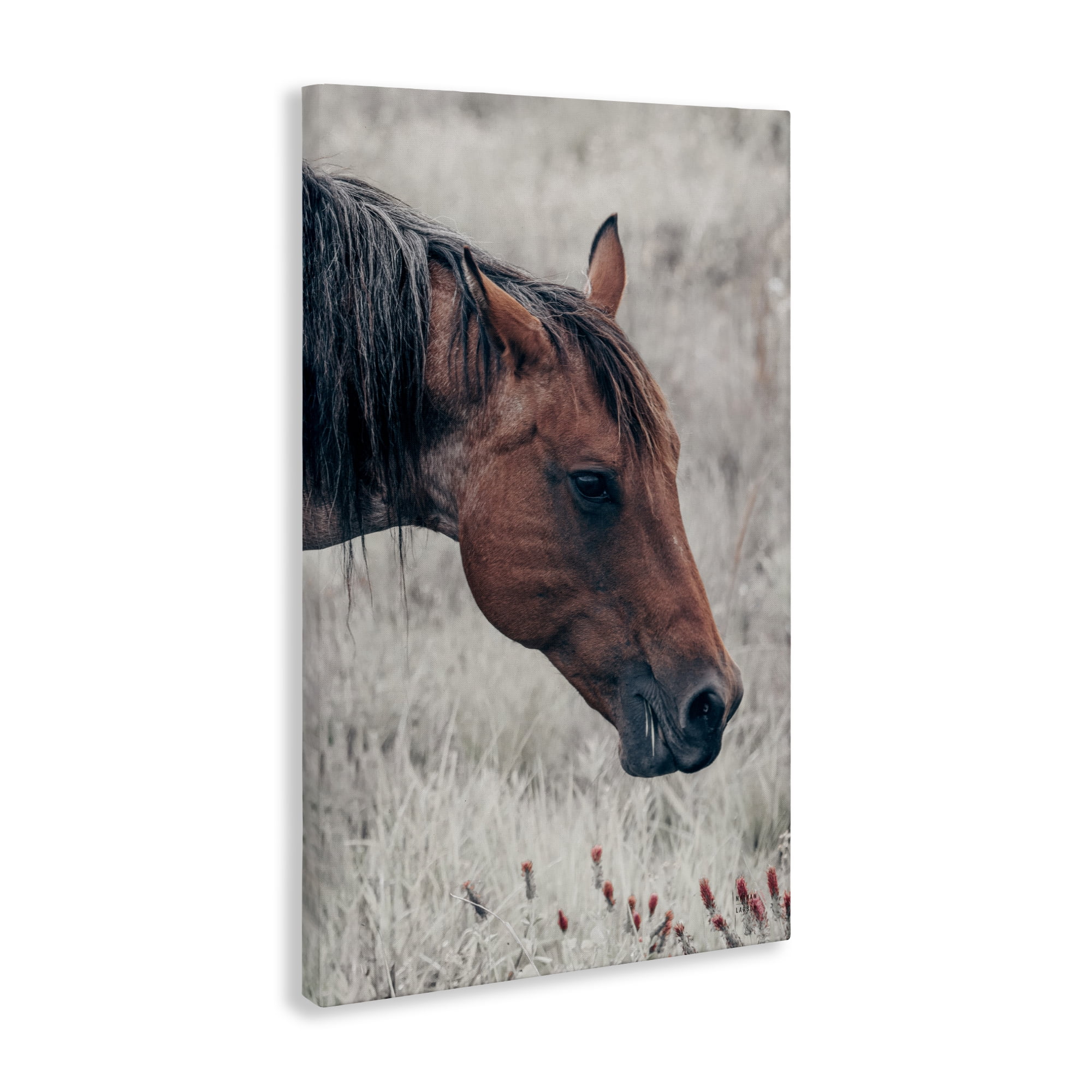 Stupell Industries Mother Horse Grazing in Meadow Canvas Wall Art, design by Nathan Larson