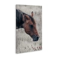 thumbnail image 2 of Stupell Industries Rustic Lodge Mother Horse Grazing in Meadow Canvas Art, 16 x 24, by Nathan Larson, 2 of 8