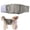 B, variant on Breathable Soft Reusable Cat Diapers, Skin-Friendly Washable Adjustable Kitty Nappies, No Rubbing Comfort Pet Diaper for Cats in Heat, Spraying & Incontinent Kittens & Adult Cats