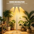 thumbnail image 7 of Fyniora 3-Heads Grow Lights for Indoor Plants, Full Spectrum Plant Growing Lamps with 15-62inches Height Adjustable Stand,Aluminum Alloy Plant Light with 10 Dimmable Levels&4/8/12H Auto on/off Timer, 7 of 7