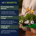 thumbnail image 4 of Supply Solutions 12-6-6 Ornamental Booster Fertilizer - Plant Food Topdress on Foliage, Nurseries and Landscapes - Controlled Release NPK Plant Fertilizer with Macro and Micro Nutrients (10lbs), 4 of 7