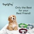 thumbnail image 4 of Regal Dog Products Metal Buckle Collar with D Ring - Fits Small, Medium & Large, 4 of 7