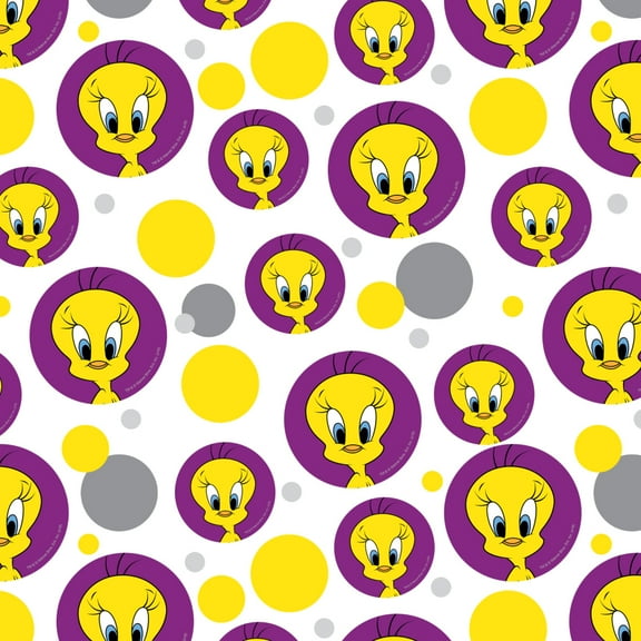 Looney Tunes Tweety Bird Premium Gift Wrap Wrapping Paper Roll
