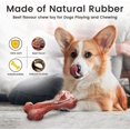 thumbnail image 5 of 2025 Latest Model Indestructible Dog Toy for Aggressive Chewers, Extreme Tough, 5 of 5