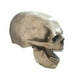 thumbnail image 1 of Máscara de Halloween de calavera de cara completa con mandíbula móvil de látex, máscara de Halloween para la cabeza Color oscuro, 1 of 9