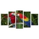 thumbnail image 1 of Cuadro decorativo Cuadros Abigail Guacamayas 5 piezas moderno, 1 of 5