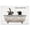 Dog Bath Humor, variant on Stupell Industries Rustic Lodge Never Too Many Bubbles Dogs Canvas Art, 20 x 16, by Lori Deiter
