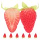 thumbnail image 1 of 8 piezas de simulación de media fresa, accesorios de fotografía, fresas artificiales., 1 of 5