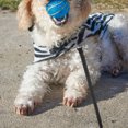 thumbnail image 4 of SEWCHICS Dog Training Lead Clip 127cm Black 1 Set, 4 of 8