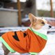 thumbnail image 4 of Ropa para mascotas de Halloween Ropa de Halloween Traje de perro de calabaza Chaleco para mascotas para perro, 4 of 5