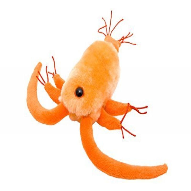 Giant Microbes Copepod (Centropages hamatus) Plush Toy - Walmart.com - Walmart.com