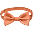 thumbnail image 1 of Odeerbi Niños Pre-Atado Corbata Elástica Correa Cuello de La Escuela Uniforme Accesorio Bowknot, 1 of 6