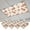 Burnt Orange Beige, variant on Blue Botanical Fall Fluorescent Light Covers, Pastoral Maple Leaf Autumn Rustic Magnetic Light Covers for Ceiling Lights, Fluorescent Ceiling Shade Filters for Classroom Bedroom Office 4x2Ft x 3PCS