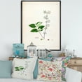 thumbnail image 2 of Ancient Botanicals XV 12 in x 20 in Framed Painting Canvas Art Print, by Designart, 2 of 5