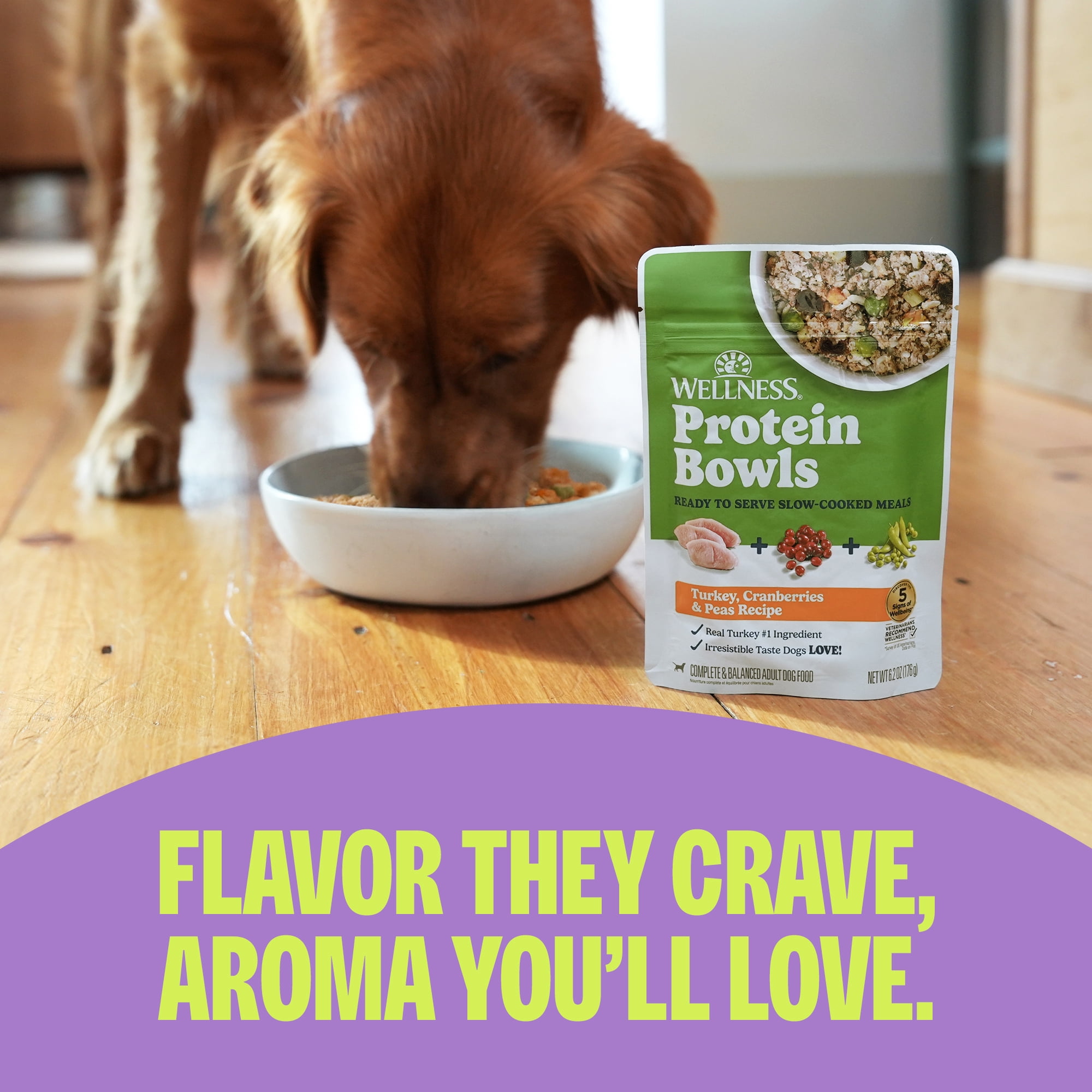 Wellness Protein Bowls, Adult Fresh Alternative Dog Food, Wholesome Grains, 6.2 Ounce Pouch, 6 Pack, (Beef, Potato & Green Beans Recipe)