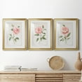 thumbnail image 4 of Grandiflora I Premium Framed Prints Set of 3 - Ready to Hang - 18 x 24 Each - Gold Frame, 4 of 9