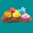thumbnail image 4 of Kit de Cultivo de Cristal XWSHYW 2 Colores para niños, 4 of 6