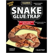 Harris Products Group Super Size Snake Glue Trap, 1 Pack
