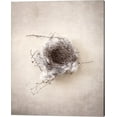 thumbnail image 1 of Nest III by Debra Van Swearingen, Canvas Wall Art, 16W x 20H, 1 of 1