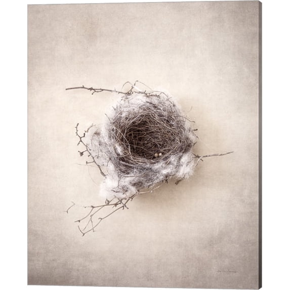 Nest III by Debra Van Swearingen, Canvas Wall Art, 16W x 20H
