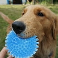 thumbnail image 2 of 3Pcs Dogs Chew Spiky Ball Soft TPR Squeaky Dog Ball Toys Floatable Dog Pool Toy Reduce Anxiety Toss Fetch Toys for Boredom Teeth Cleaning Dog Chew Toys Interactive Dog Toys for Small and Medium Dogs, 2 of 10