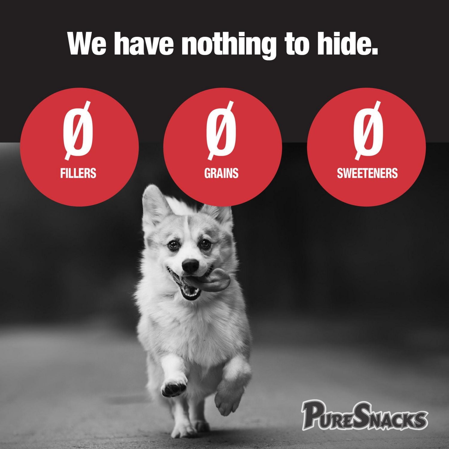 PureSnacks Freeze Dried Chicken Breast Dog Treats, Single Ingredient Dog Treats