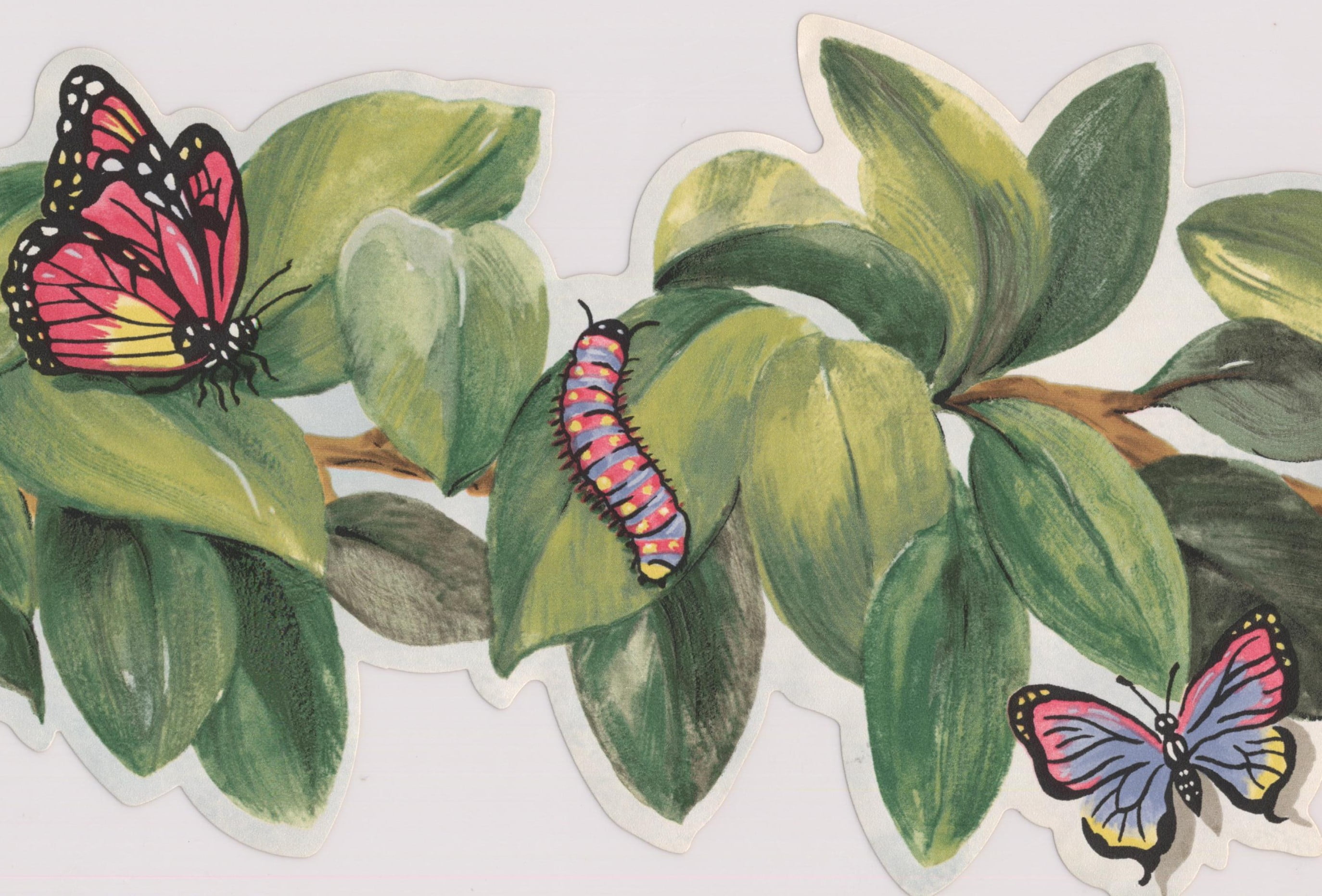 Wallpaper Border Bee Butterfly Ladybug Dragonfly Caterpillar On Leaves On Vine Wall Border Retro Design Roll 15 Ft X 6 In Walmart Com Walmart Com