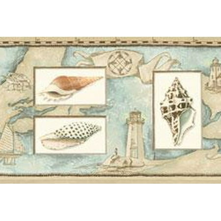 Seashell Border - 877767 Seashells Wallpaper Border BV021141b