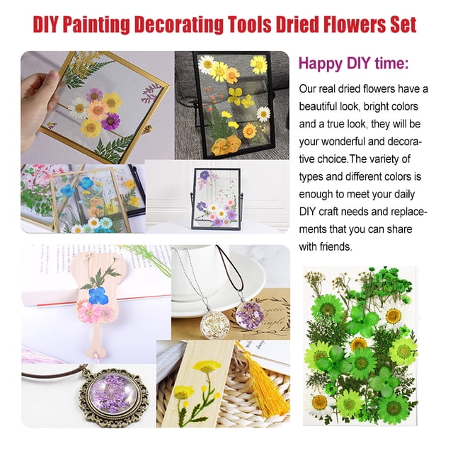 Dried Flowers Set Scrapbooking Decorating flowers are made of Real Flower Decal Handicraft Filling Pressed Specimen Label for Makeup Phone Use Type 15