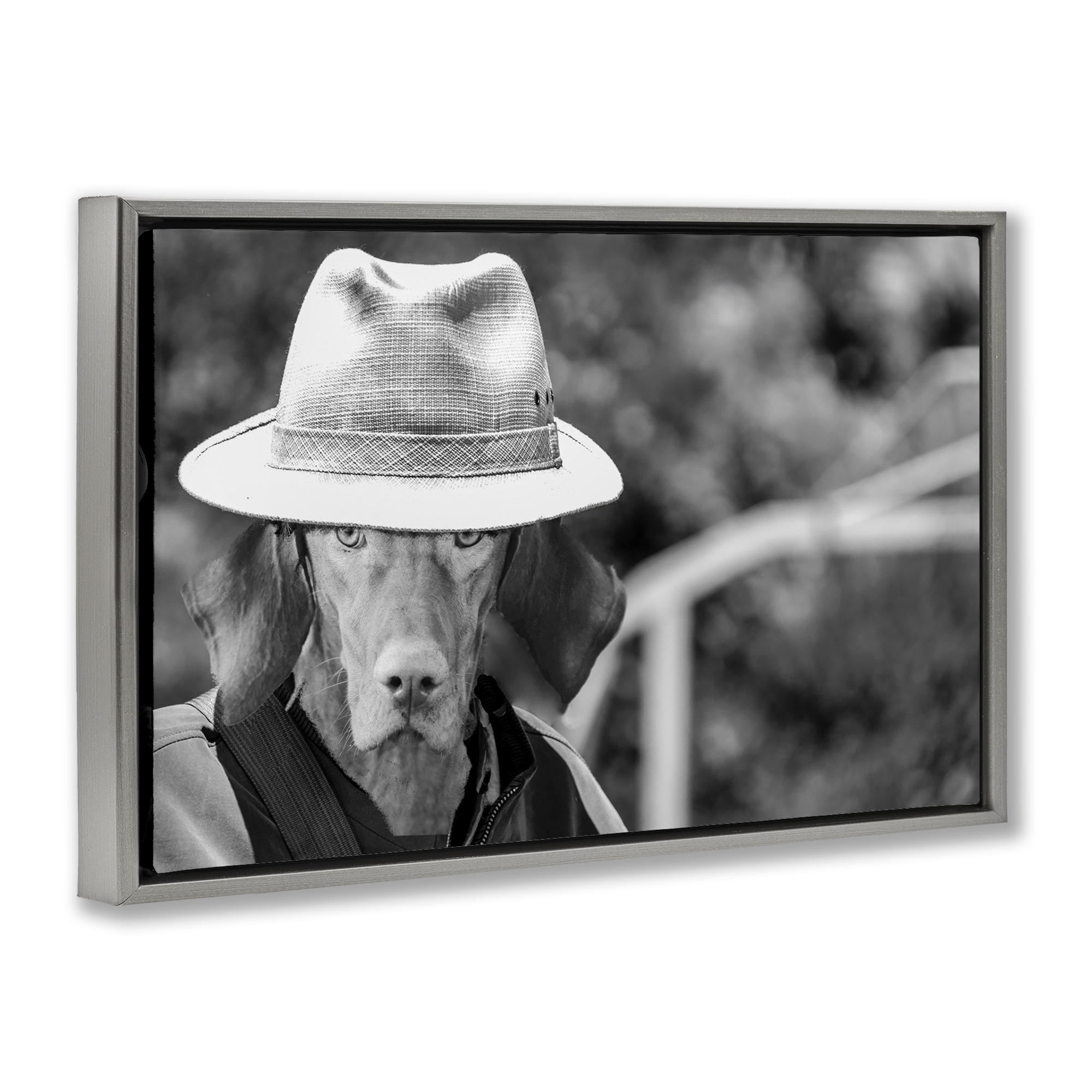 Stupell Industries Country Cowboy Dog Animals & Insects Photography Gray Floater Framed Canvas Art Print Wall Art, 25 x 17