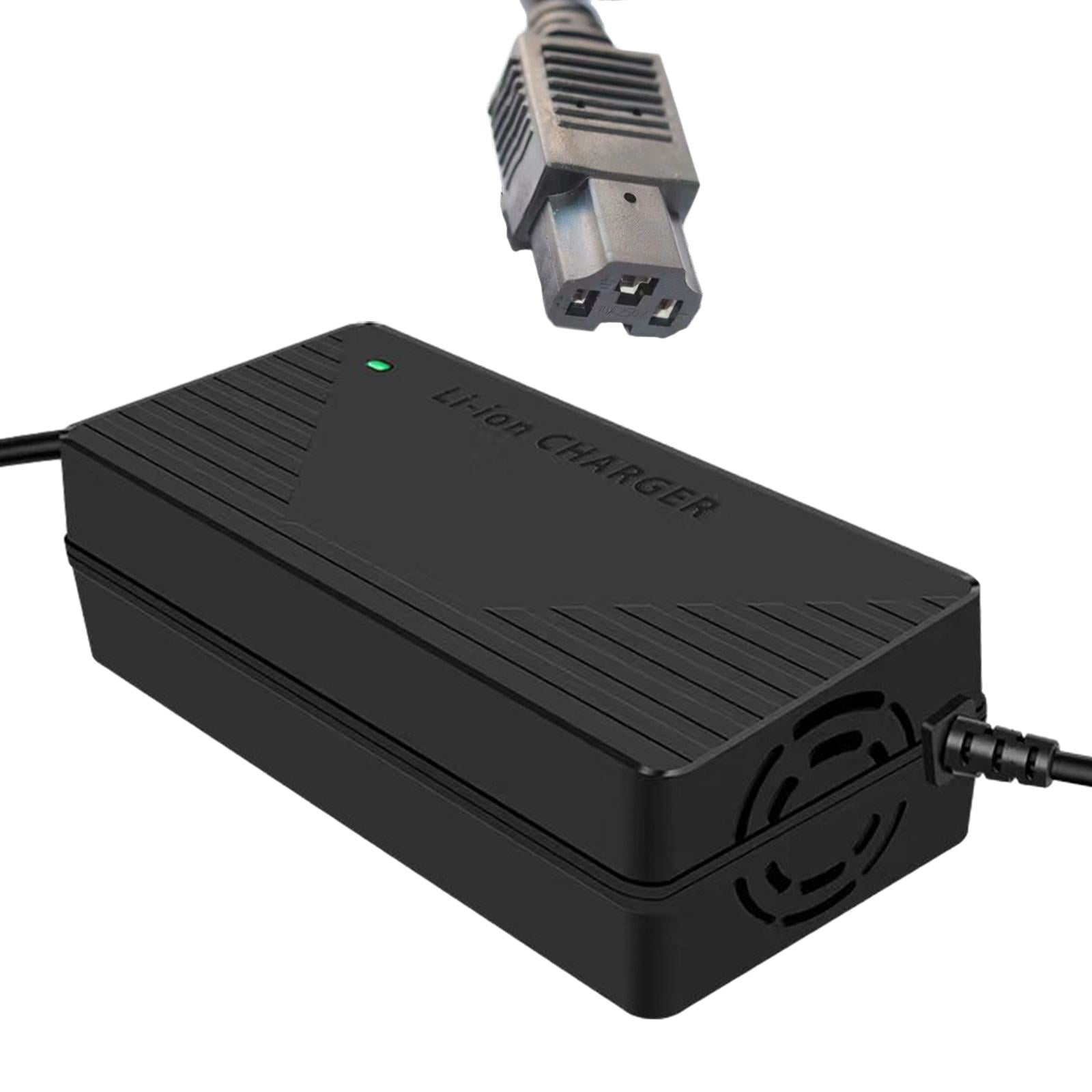 Tricycle battery charger hotsell
