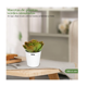 thumbnail image 5 of Plantas Suculentas Belug Artificiales Macetas Decorativas Bonsai 6 pzs, 5 of 5