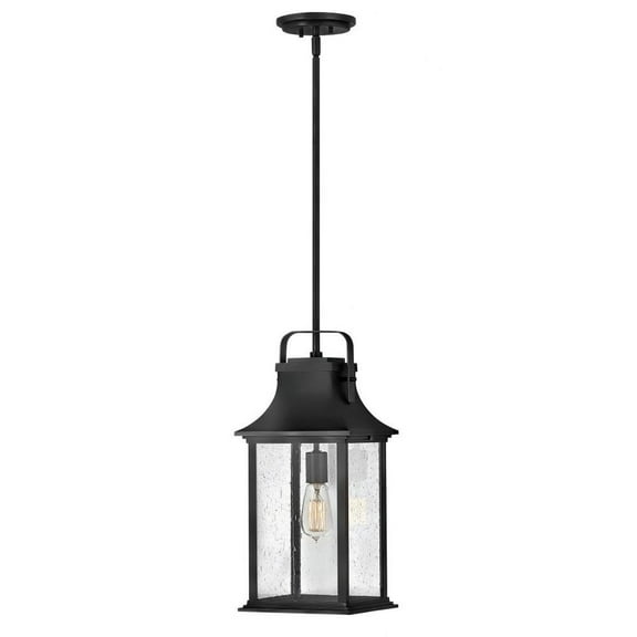 1 Light Medium Outdoor Hanging Lantern in Traditional Style 8.5 inches Wide By 19.75 inches High-Textured Black Finish Bailey Street Home